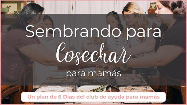 Sembrando Para Cosechar: 6 Días Para El Corazón De Una Mamá