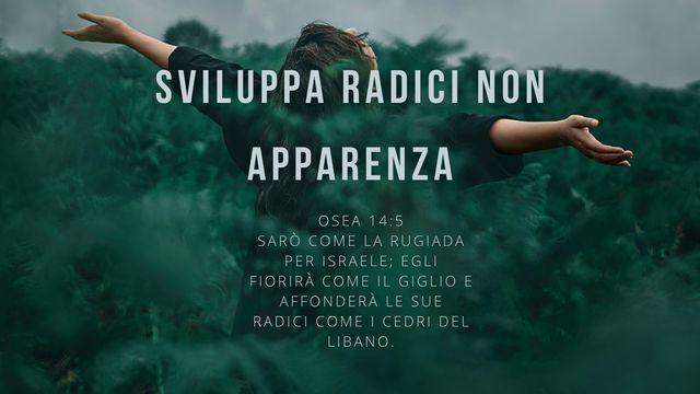SVILUPPA RADICI, NON APPARENZA