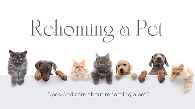 Rehoming a Pet