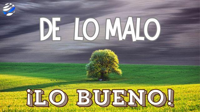 De Lo Malo, Lo Bueno