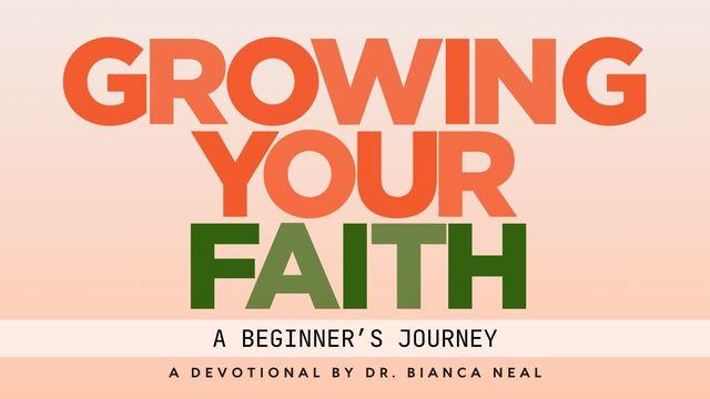 Growing Your Faith: A Beginner's Journey
