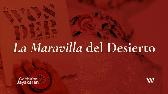 La Maravilla Del Desierto