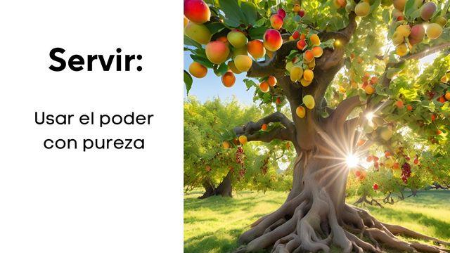 Servir, Usar El Poder Con Pureza