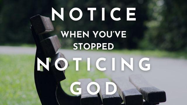 Notice When You've Stopped Noticing God