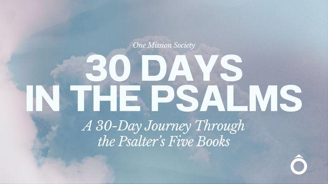 30 Days in the Psalms