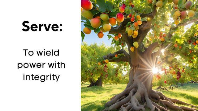 Serve: To Wield Power With Integrity