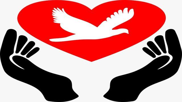 Camino a La Paz Que Guarda El Corazón
