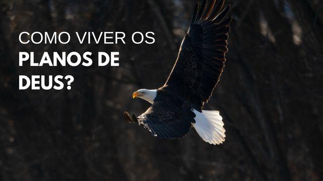 Como viver os planos de Deus?