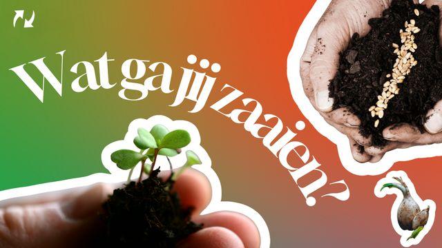 Wat ga je zaaien?