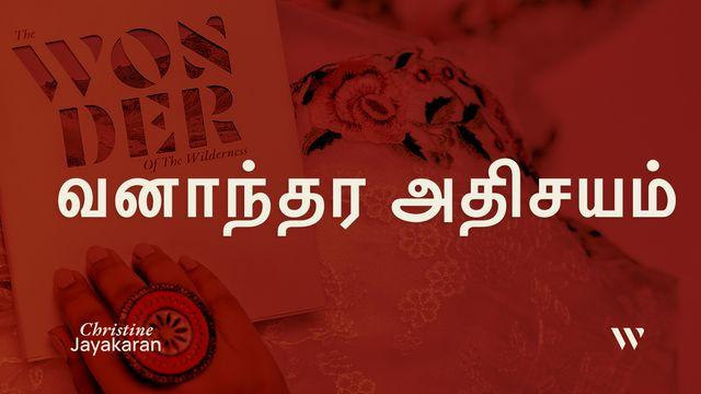 வனாந்தர அதிசயம்