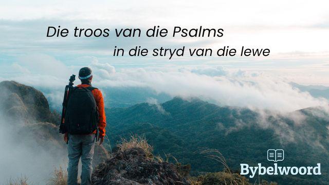 Die Troos van die Psalms in die Stryd van die Lewe