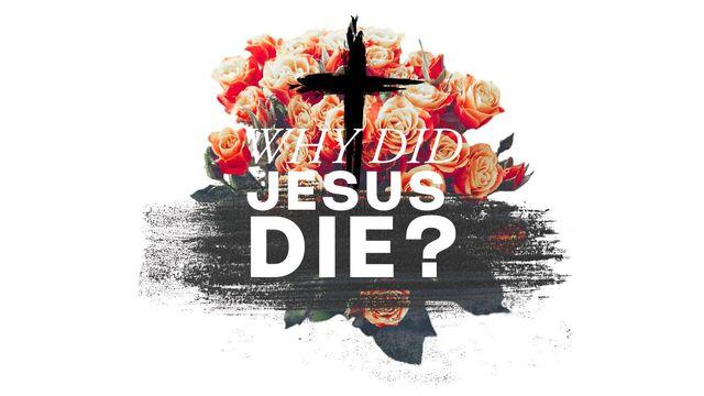 The Cross: Why Did Jesus Have to Die?