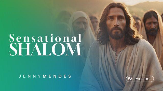 Sensational Shalom