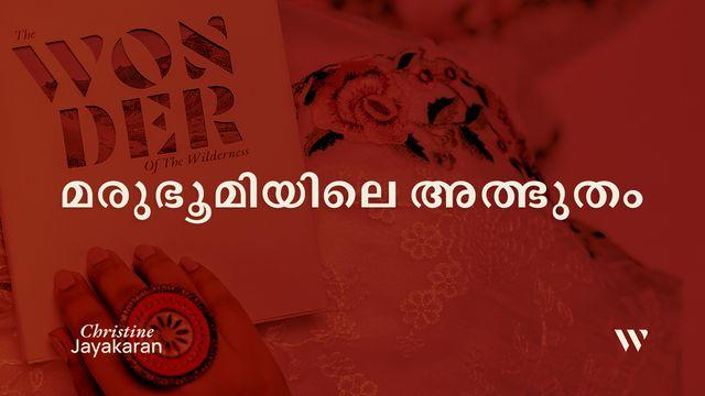 മരുഭൂമിയിലെ അത്ഭുതം
