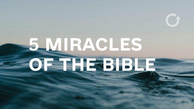 Five Miracles of the Bible