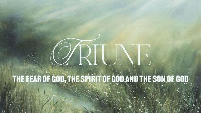 Triune