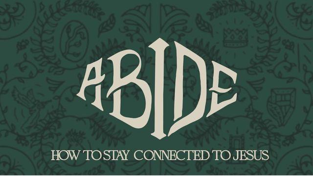 Abide