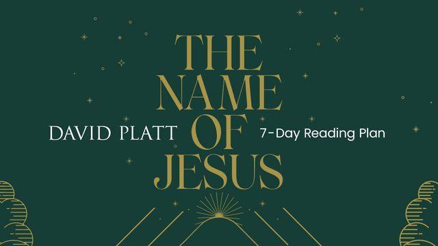 The Name of Jesus