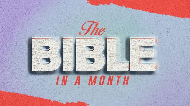 The Bible in a Month
