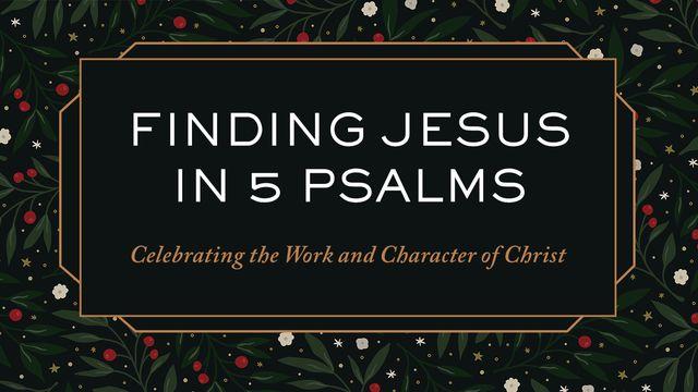 Finding Jesus in 5 Psalms: Celebrating the Work and Character of Christ