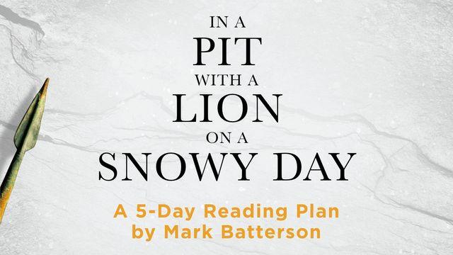 In a Pit With a Lion on a Snowy Day