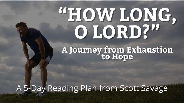 How Long, O Lord?: A Journey From Exhaustion to Hope