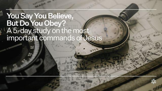You Say You Believe, but Do You Obey?