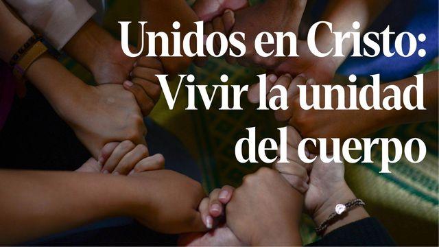 Unidos en Cristo: Vivir La Unidad Del Cuerpo