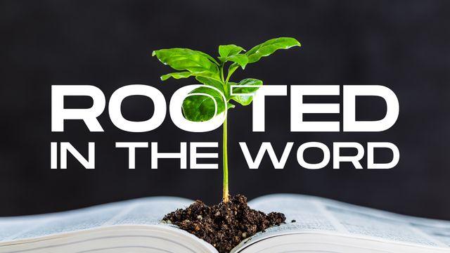 Rooted in the Word: A 5-Day Devotional Journey Based on Colossians 2:6-7