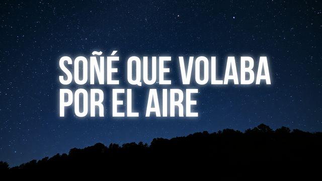 Soñé que volaba por el aire
