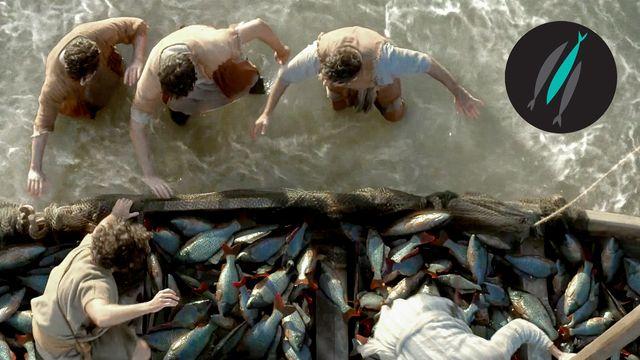 The Chosen + BibleProject | Plan de citire Sezonul 1