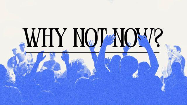 Why Not Now?