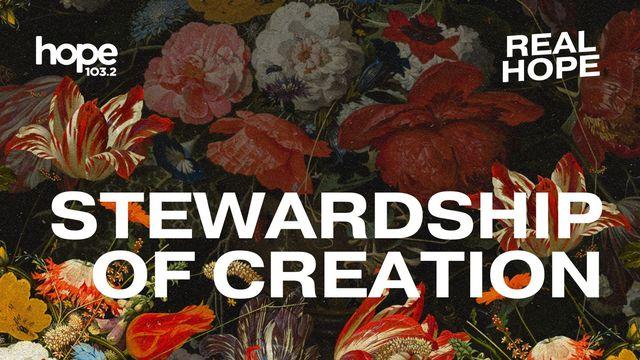Stewardship of Creation
