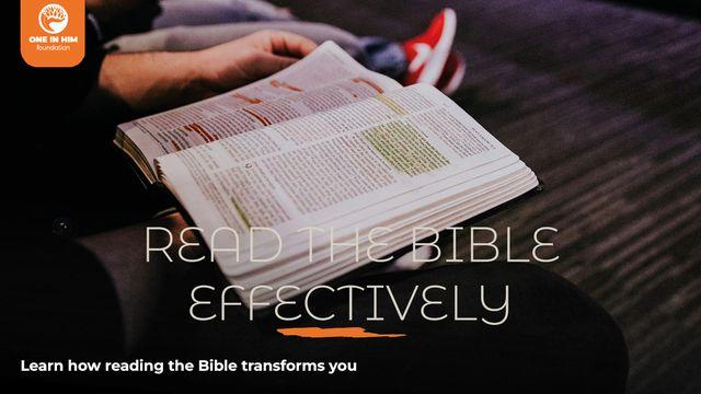 Read the Bible Effectively
