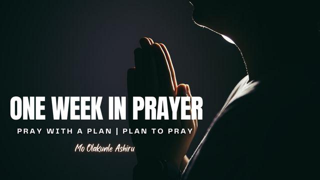 One Week in Prayer 10-Day Devotional on Building a Consistent Habit of Daily Prayer