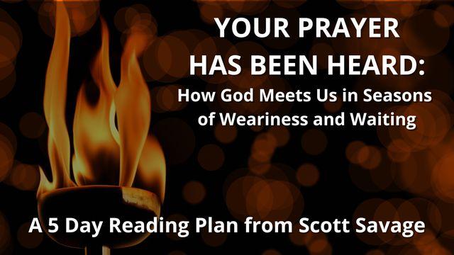 Your Prayer Has Been Heard: How God Meets Us in Seasons of Weariness and Waiting