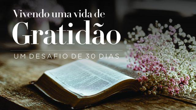 O desafio da gratidão: Um desafio de 30 dias