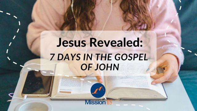 Jesus Revealed: 7 Days in the Gospel of John