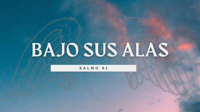 BAJO SUS ALAS – Salmo 91: Confianza en Medio De La Ansiedad.