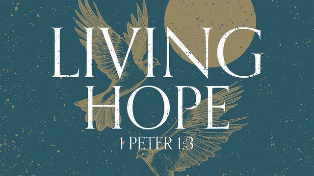 LIVING HOPE - Reading With the People of God: Part 18