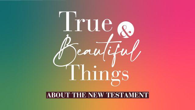 True & Beautiful Things About the Bible--New Testament