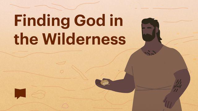 BibleProject | Finding God in the Wilderness