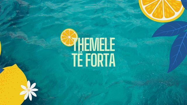 Themele të Forta