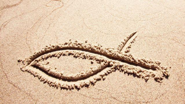 Discipulado Cristão — Conectando-se com a Essência Espiritual