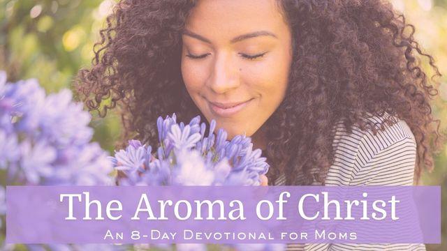 The Aroma of Christ