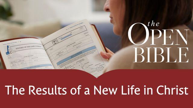 The Results of a New Life in Christ