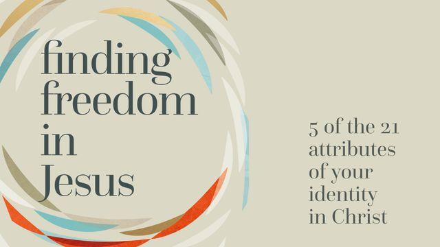 Finding Freedom in Jesus