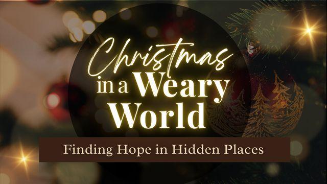 Christmas in a Weary World: Finding Hope in Hidden Places