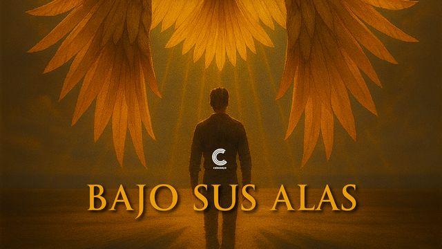 Bajo Sus Alas: Un Viaje De Fe, Protección Y Sanidad