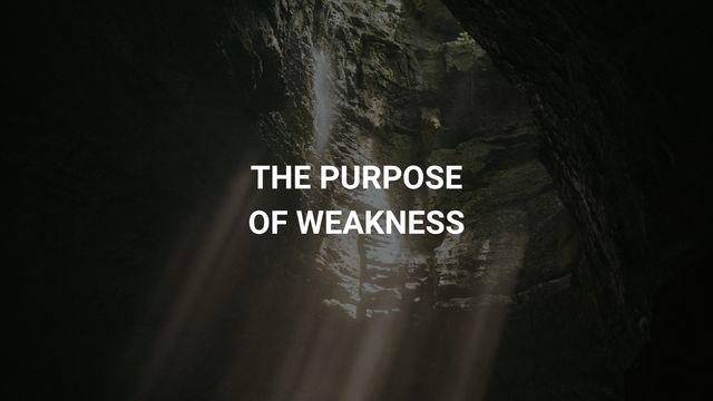 The Purpose of Weakness